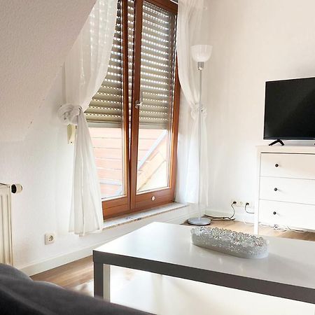 Schoenes 1 Zimmer Apartment Mit Dachterrasse 글라우하우 외부 사진
